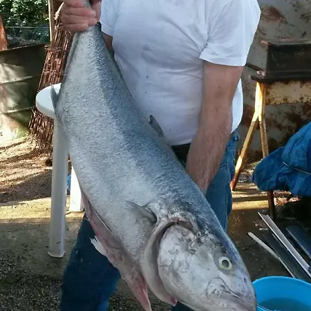 Lejlighed Casa Maro' Palermo